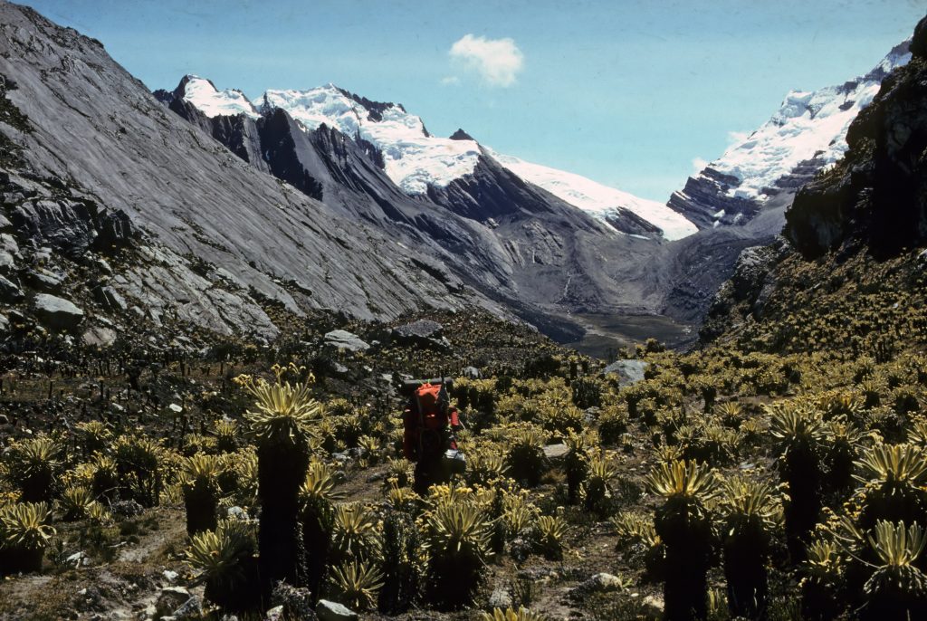 Valle de los Cojines, Sierra Nevada del Cocuy mit Castillo und San Pablin, Sierra Nevada del Cocuy