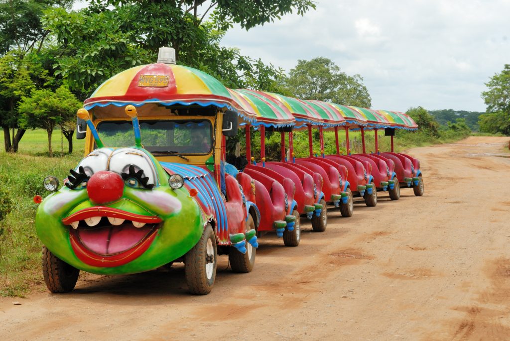 Train on the road to Mompox