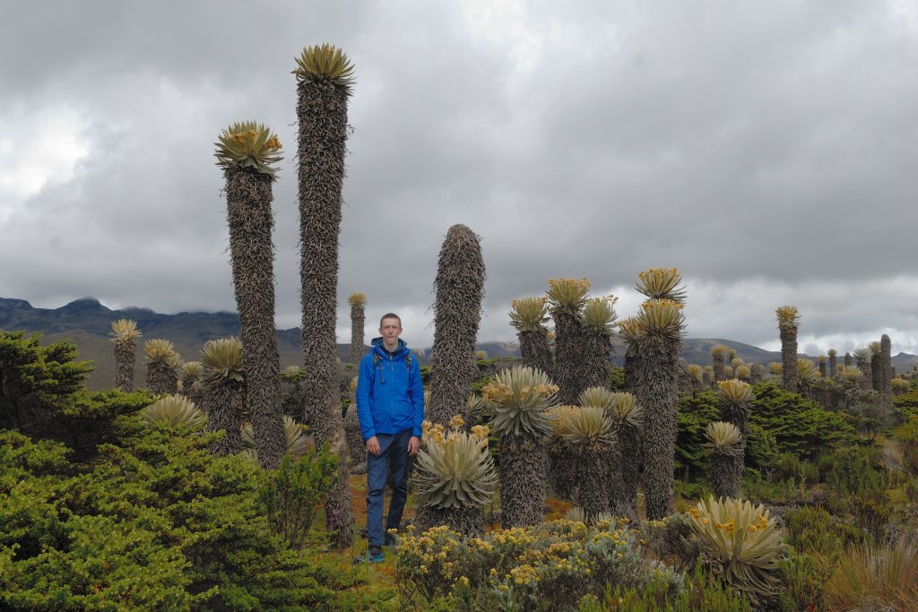 Hiking the Parque de los Nevados, Colombia