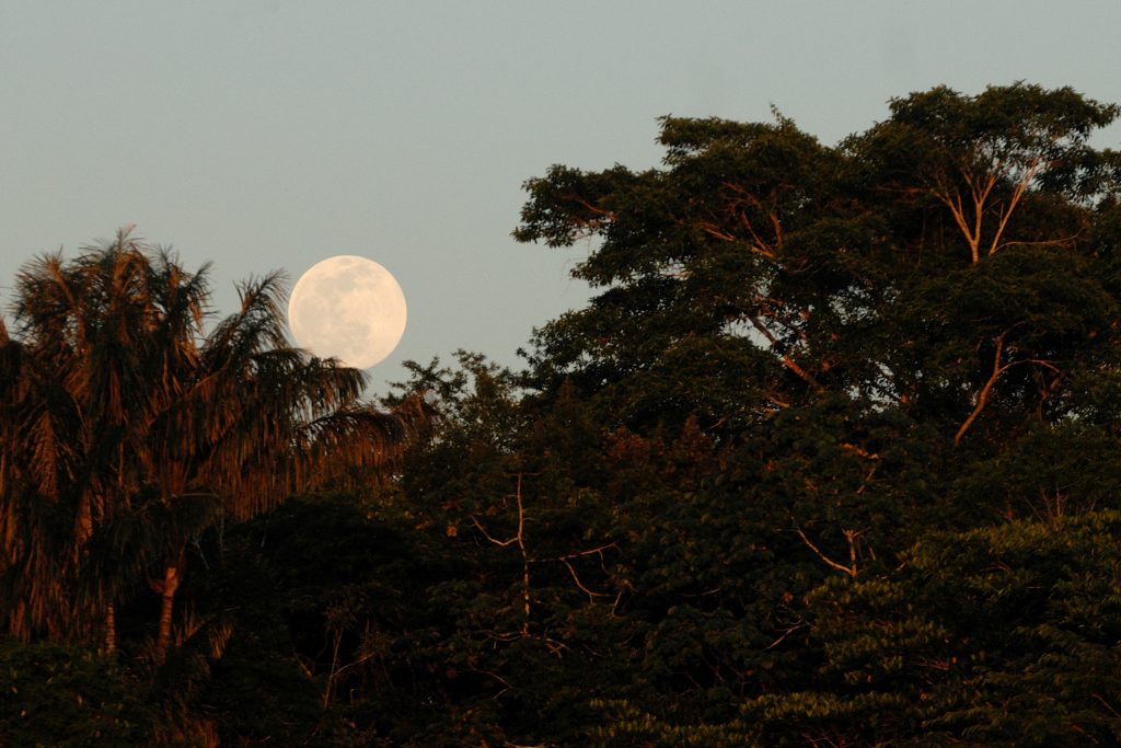 Sunset atmosphere, R&iacute;o Javar&iacute;, Amazonas