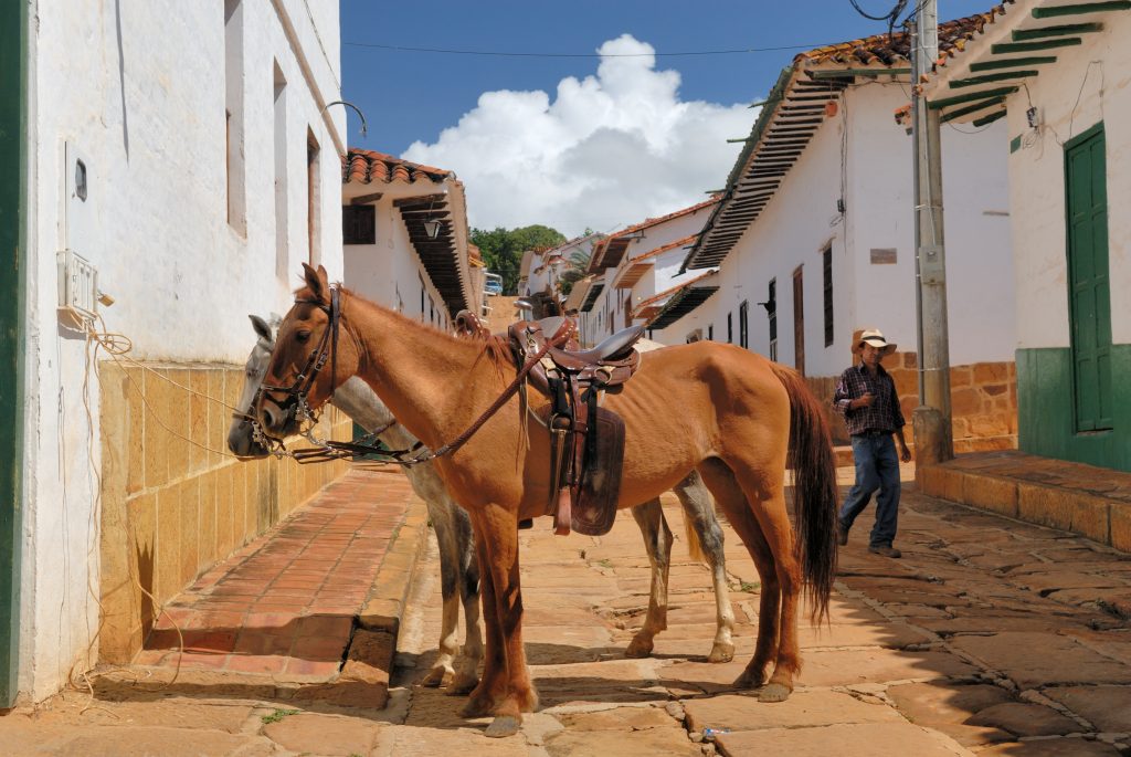 Horseback ride, Barichara
