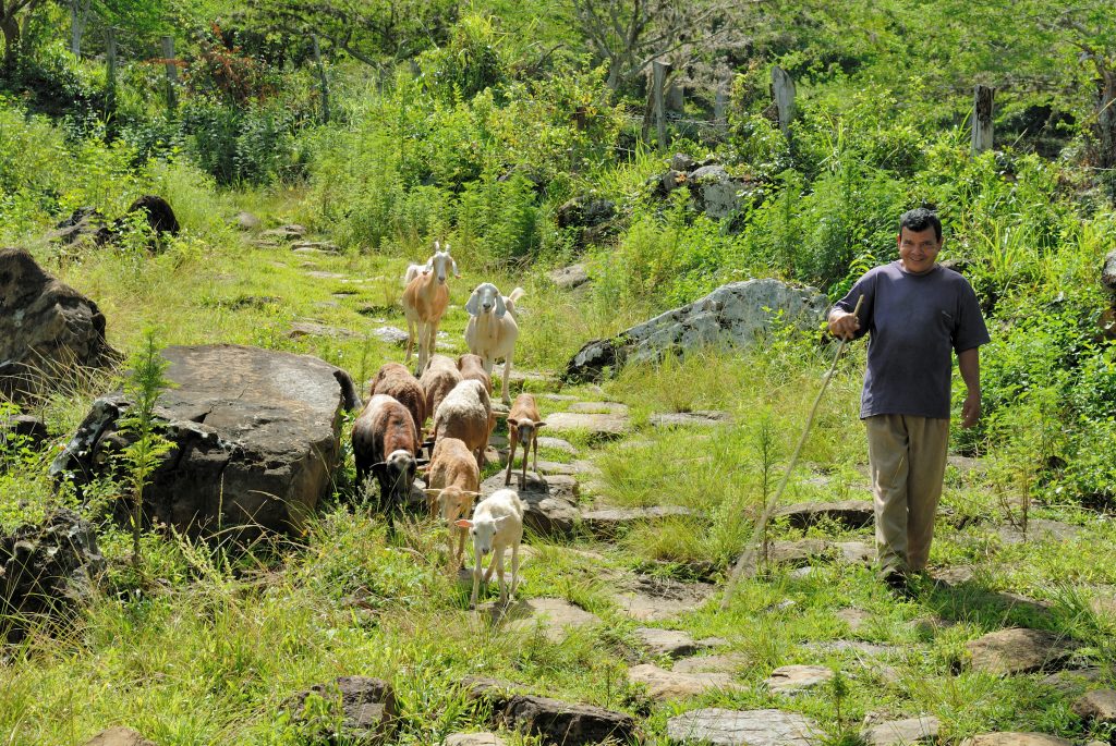 On the Camino Real, from Barichara to Cabrera