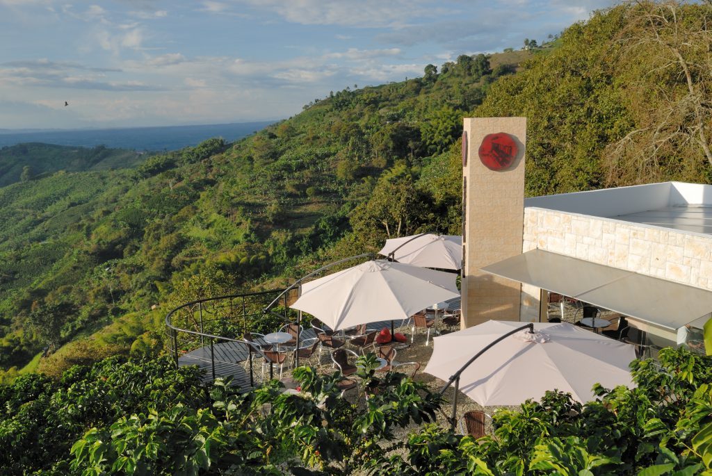 Coffee Finca San Alberto, Buenavista, Quindío