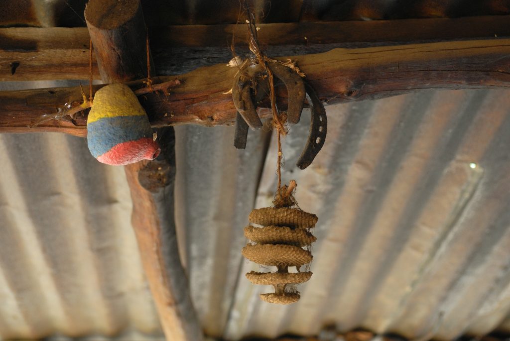 Wasp’s nests, beehives and other lucky charms, Cañón del Chica