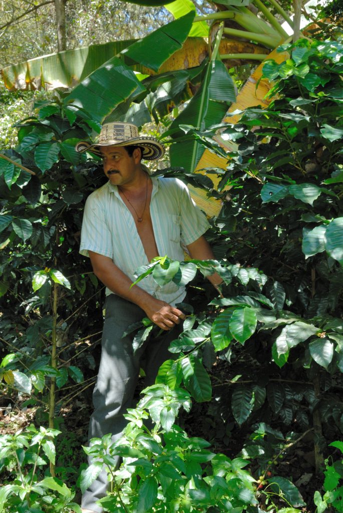 Coffee farm, near Barichara