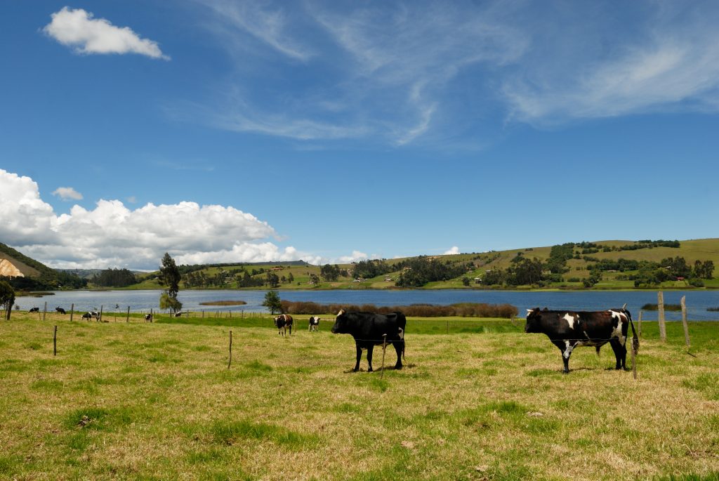 Suesca lake, near Suesca