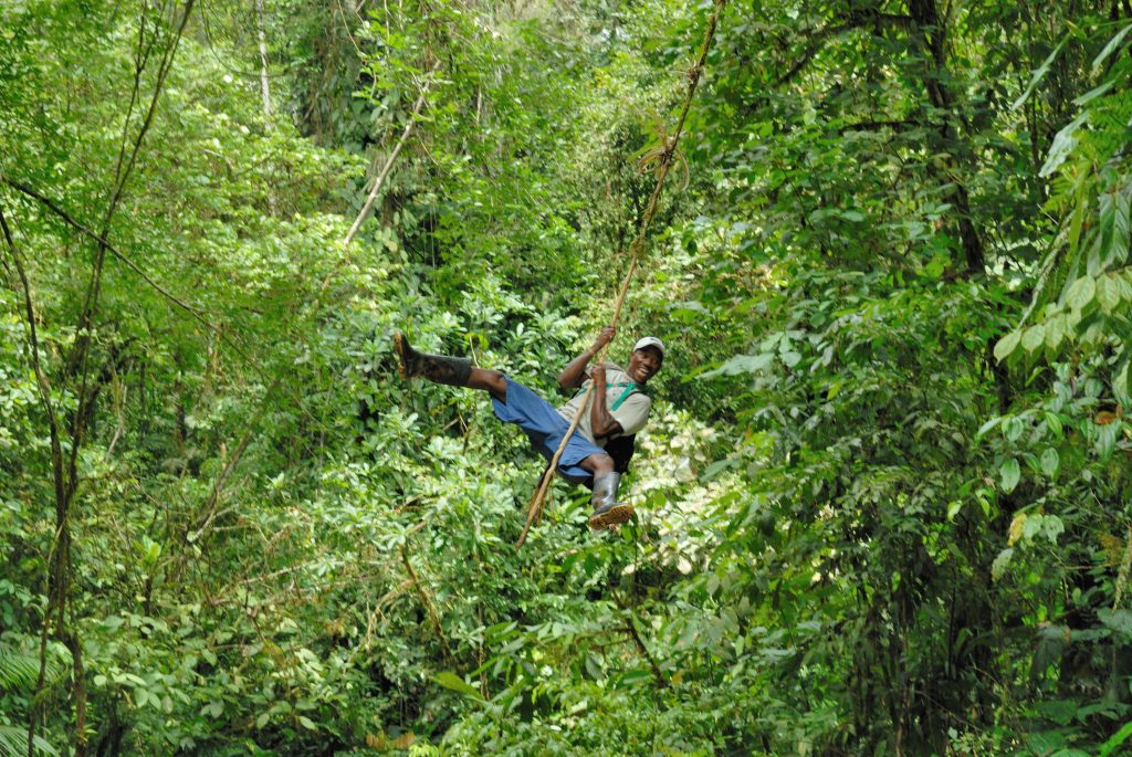 Rainforest near El Cantil, Choc&oacute;