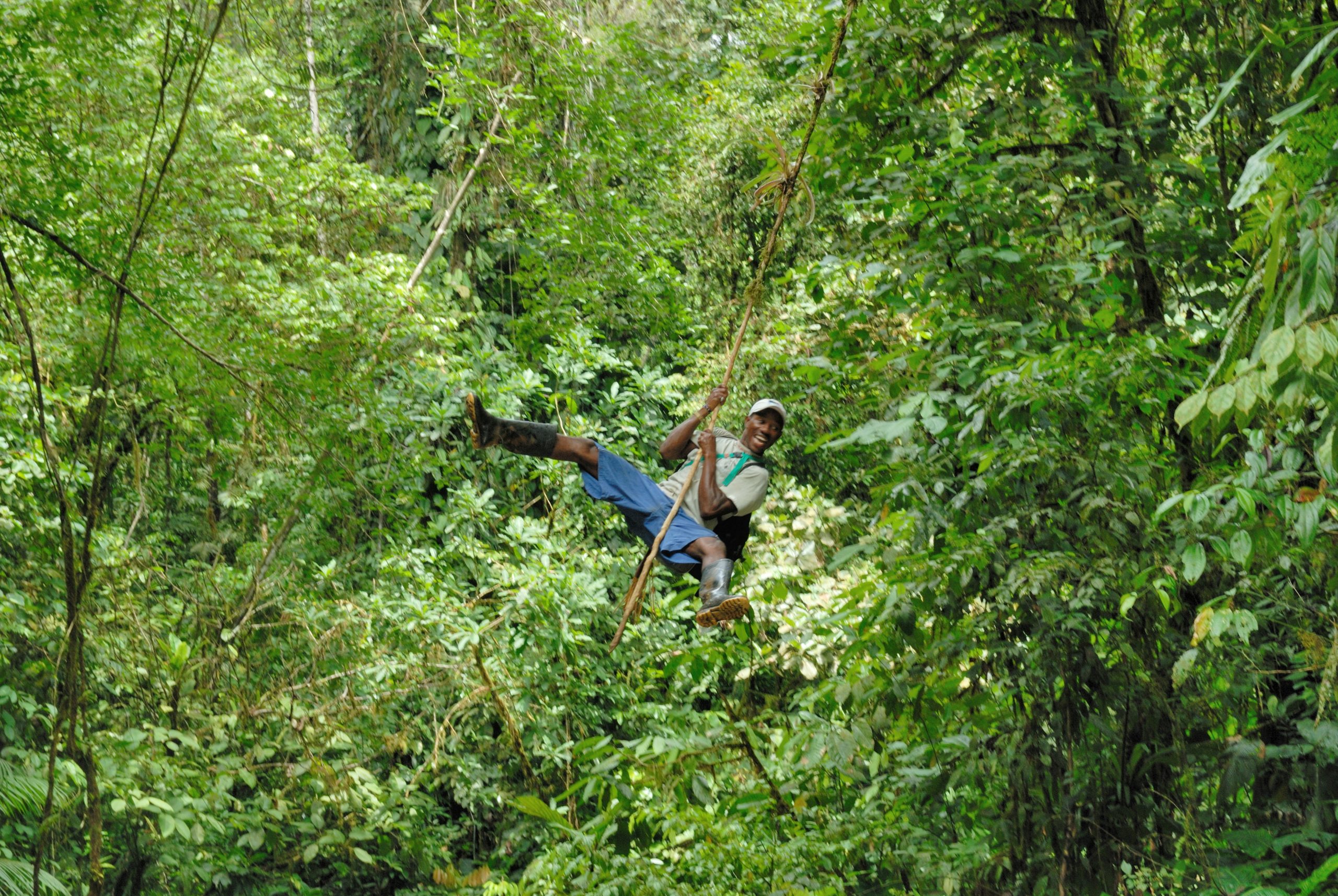 Rainforest near El Cantil, Chocó