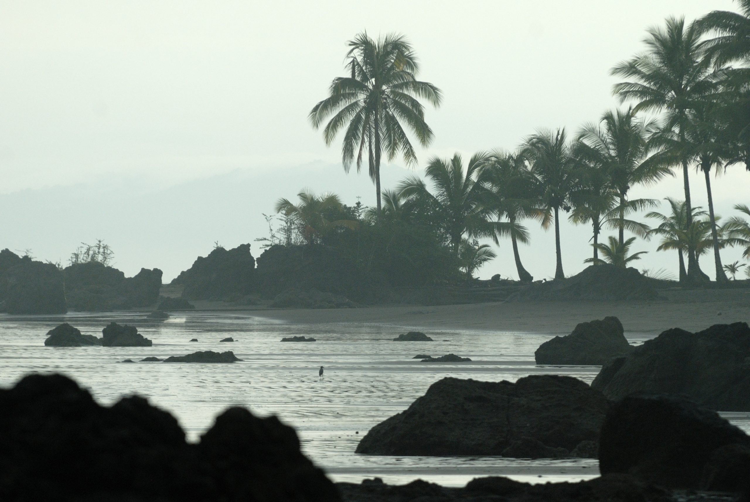 Beach in Nuquí, Chocó