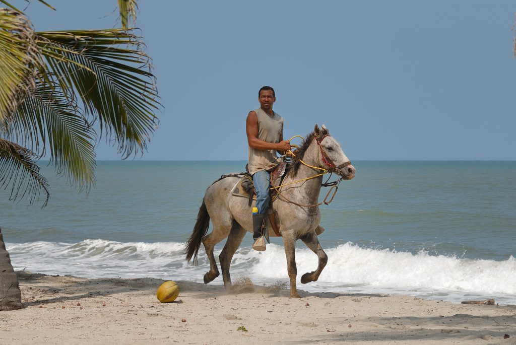 Horseback riding on the beach near Palomino
