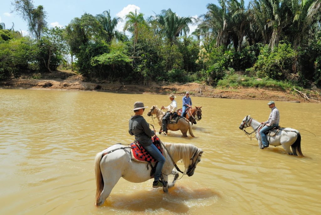 Joe, Tim and Maria Fernanda, Hato La Aurora, Casanare