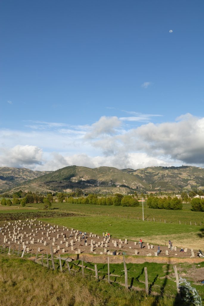 Potato harvest, Villa de Leyva