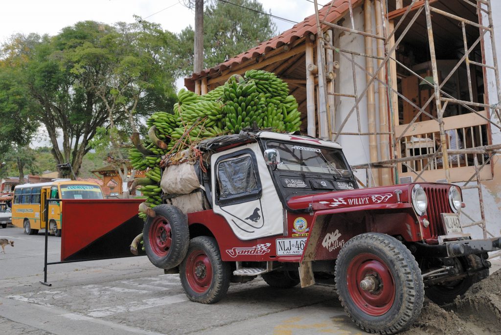 Willys Jeeps in the Coffee Region